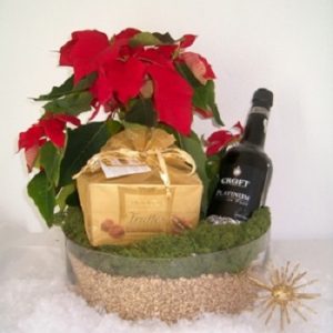 Gourmet poinsettia 1